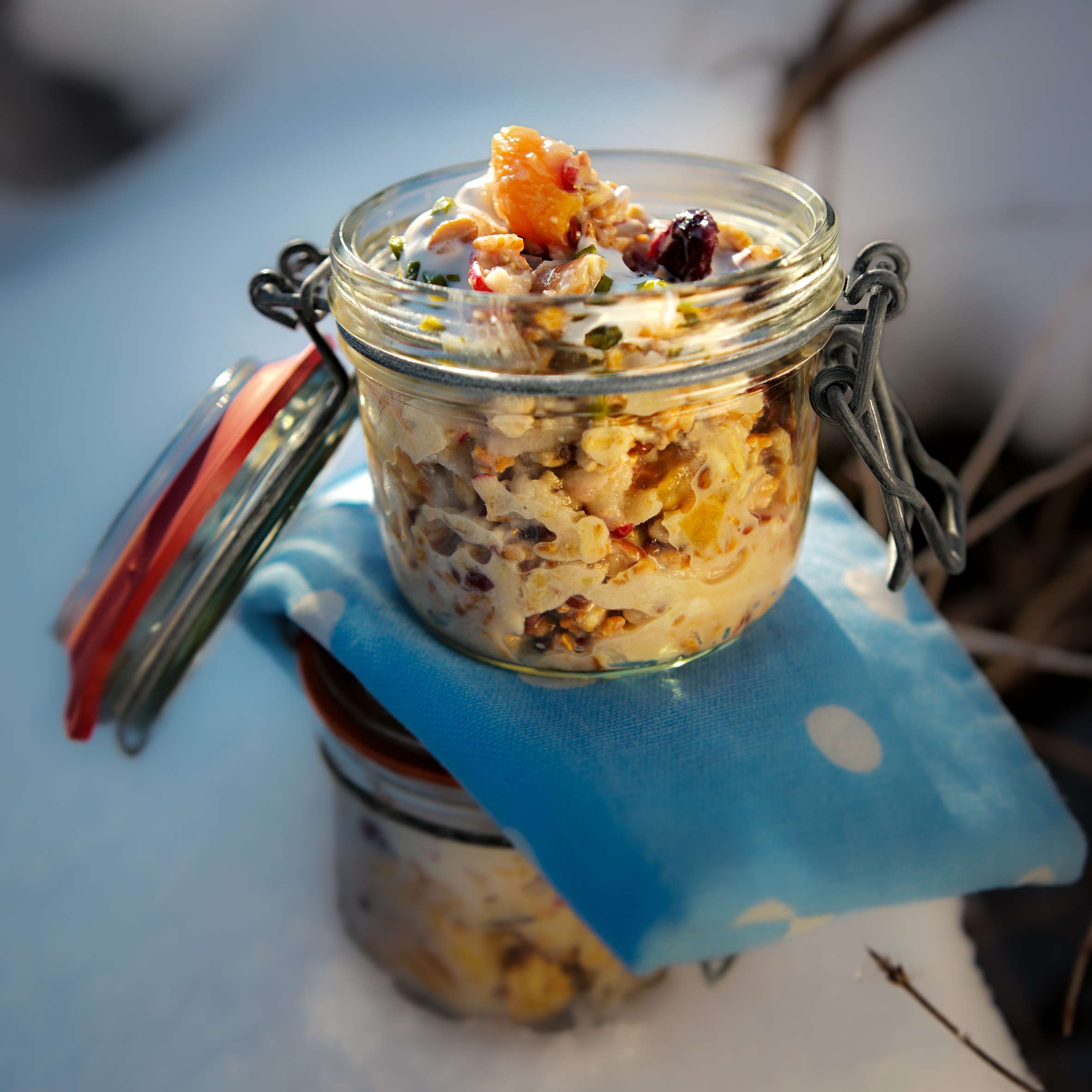 Bircher Müsli mit Cranberries