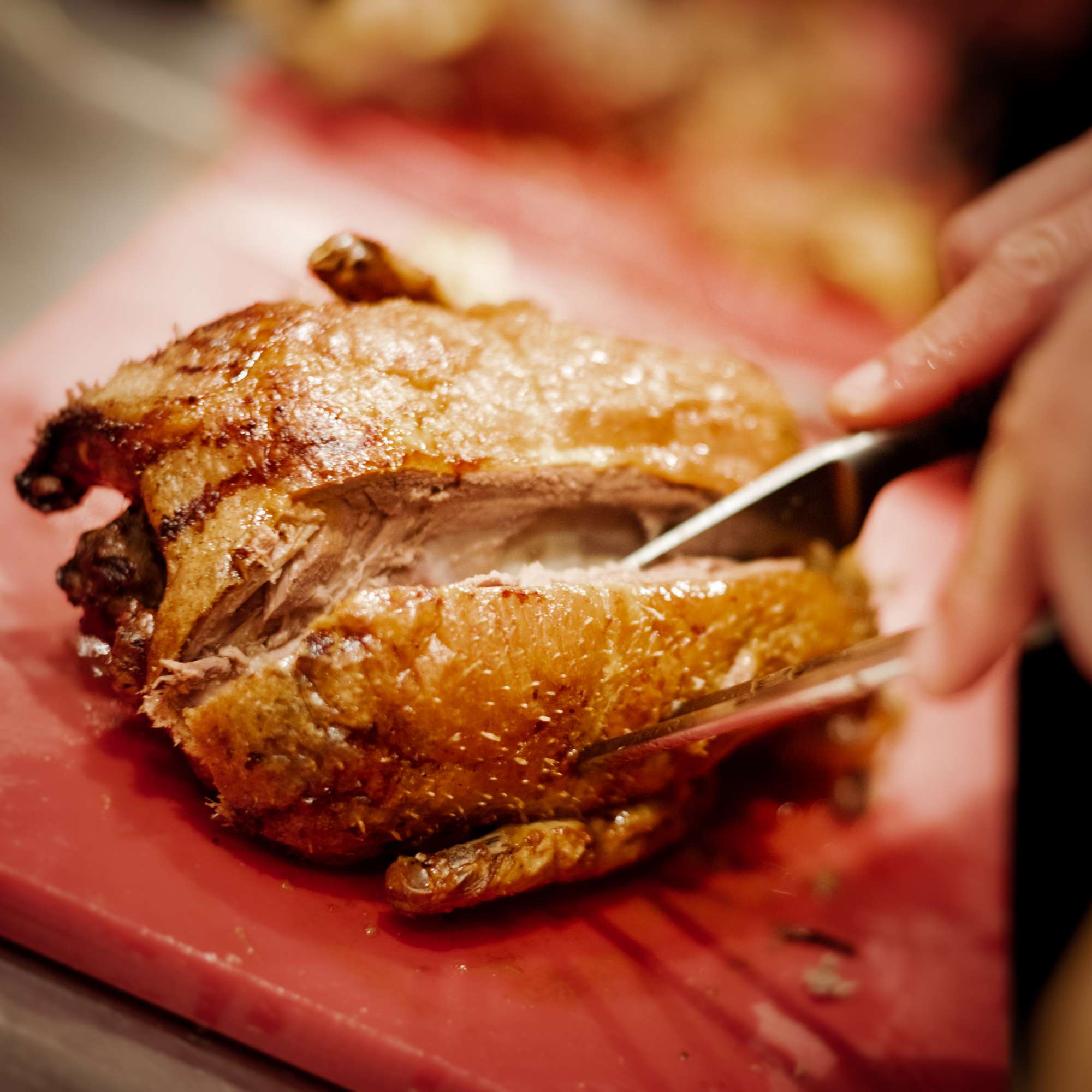 Ente - Effilee