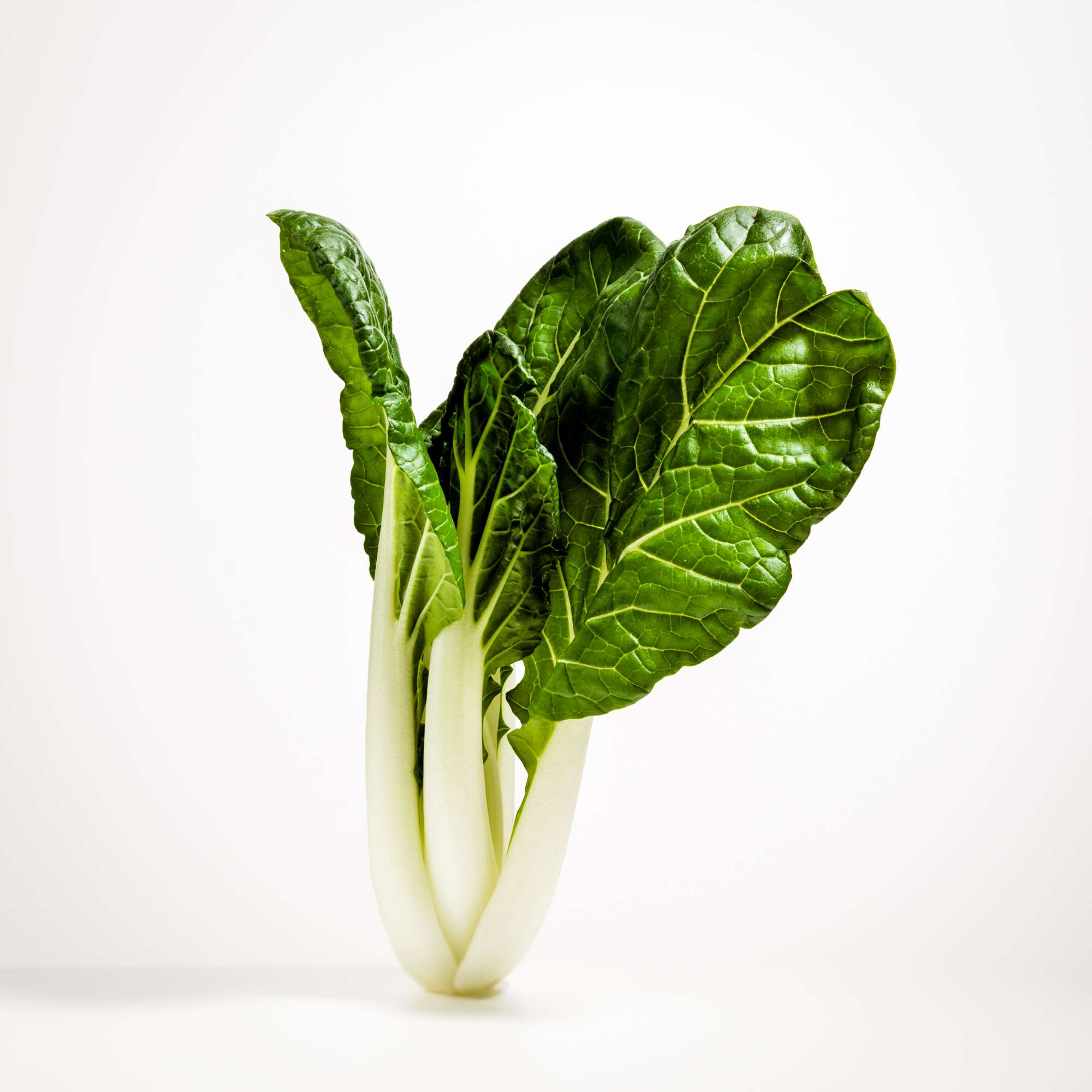 Pak Choi