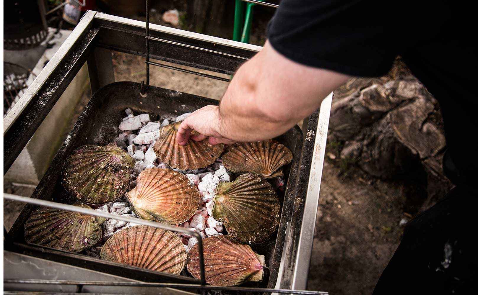 Rezept für Jakobsmuscheln ‚Fäviken‘