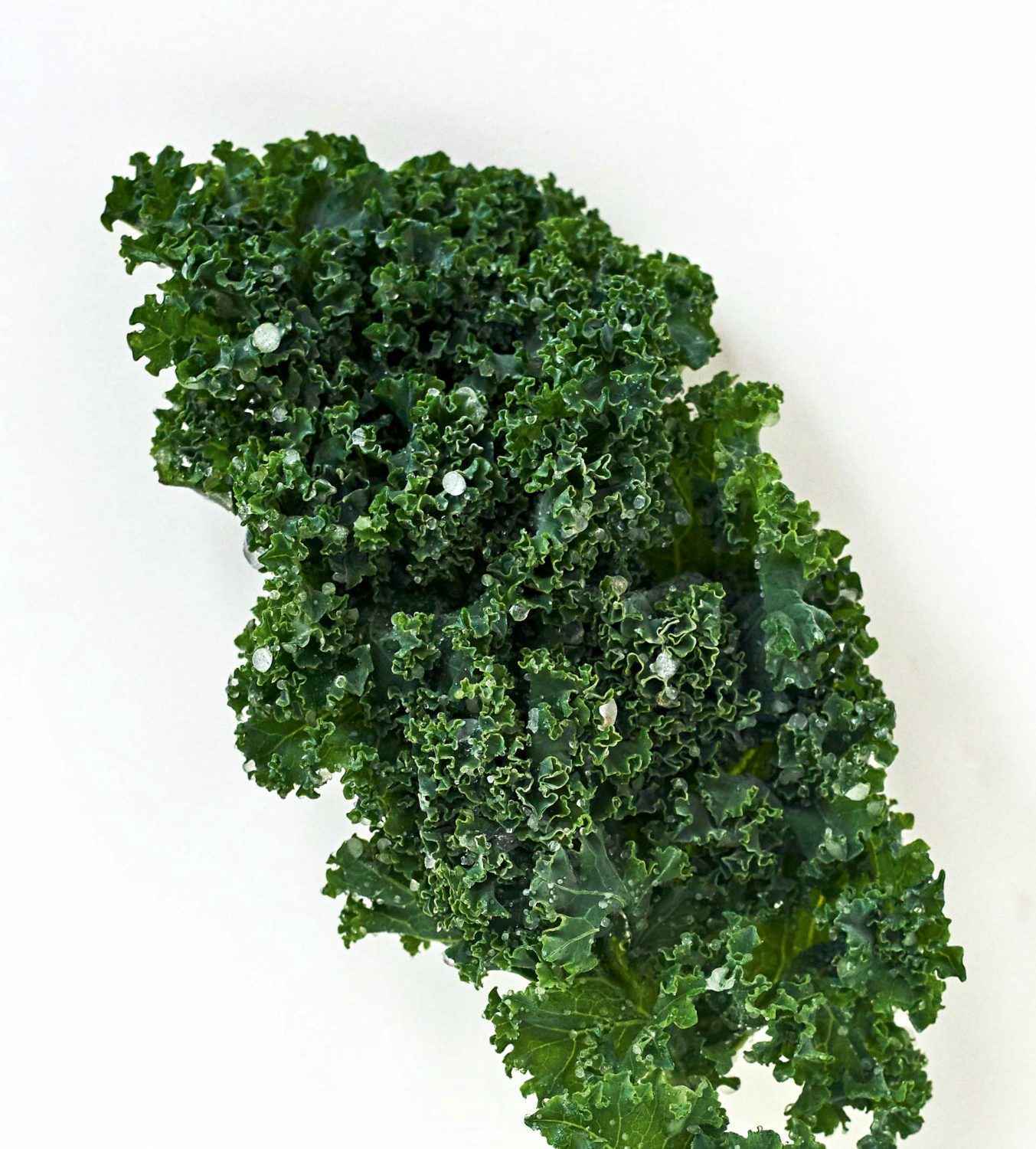 Rezept für Kale Chips