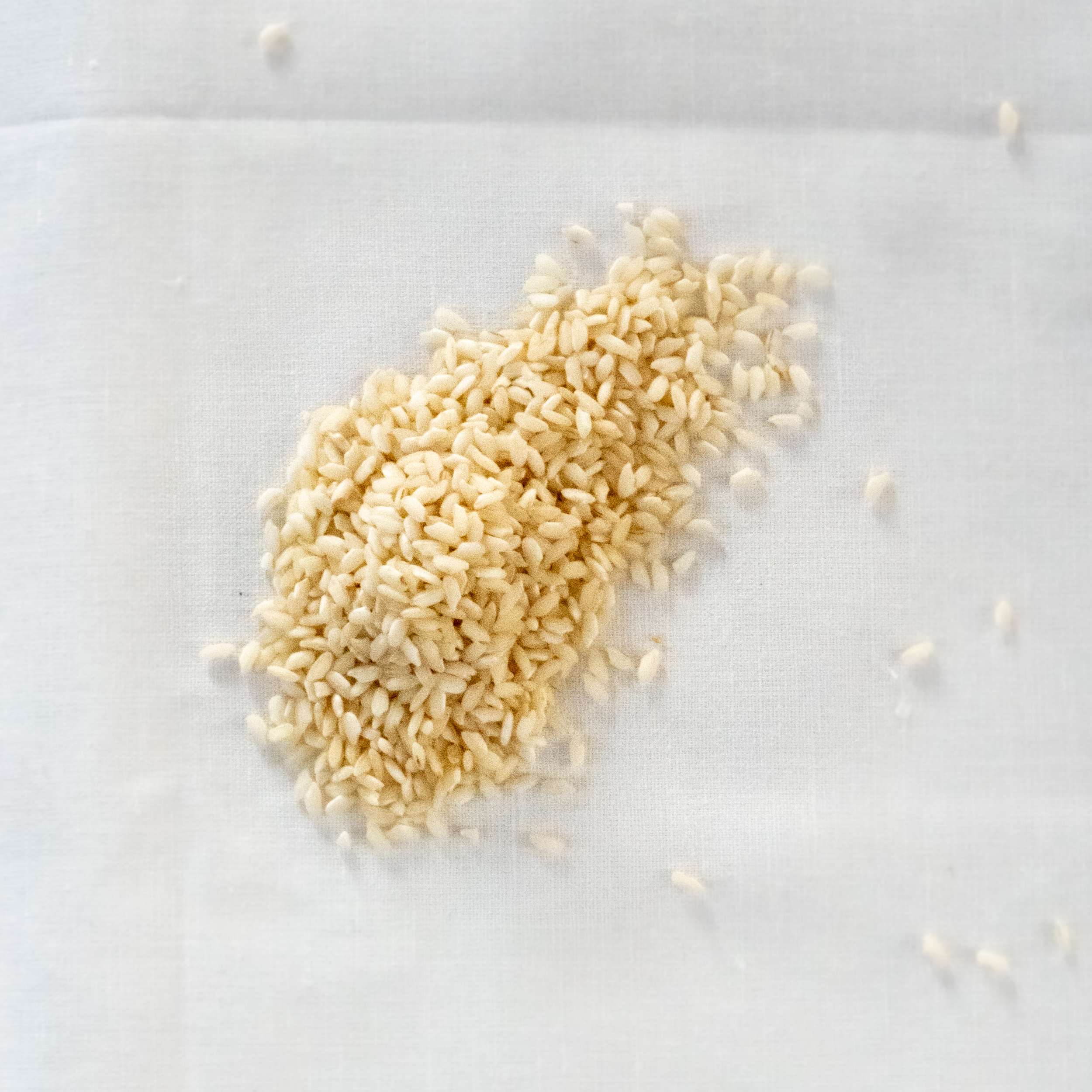 Risotto