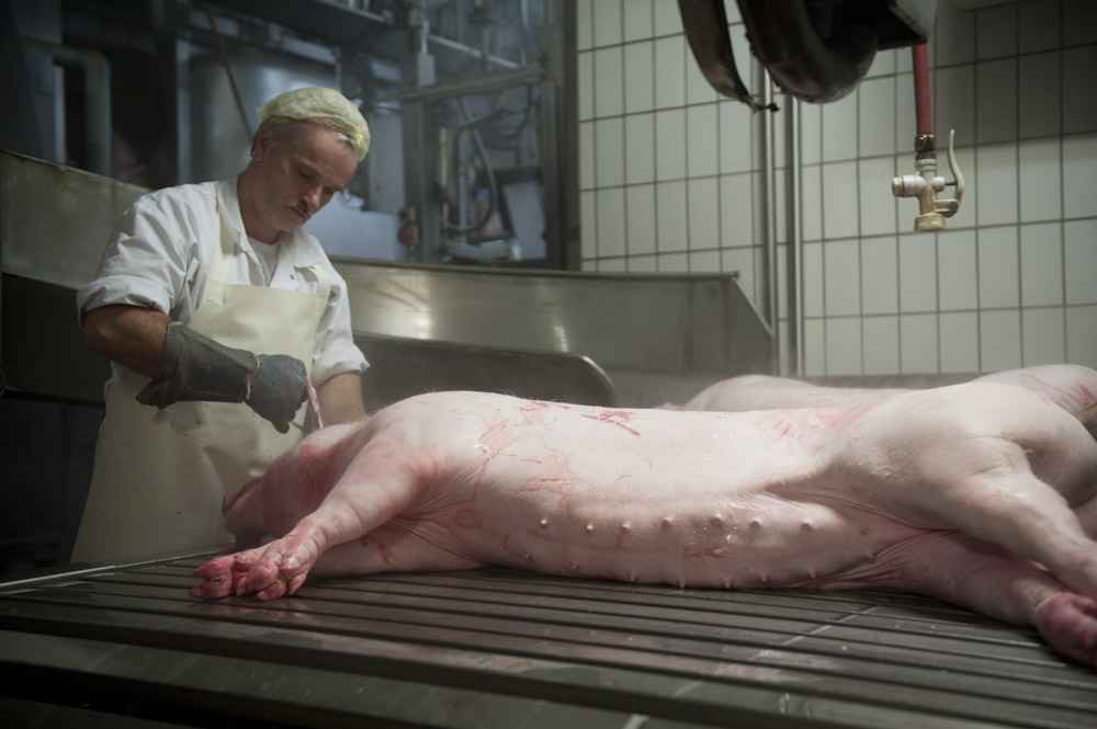 Schwein mädchen schlachten Kostenlose foto