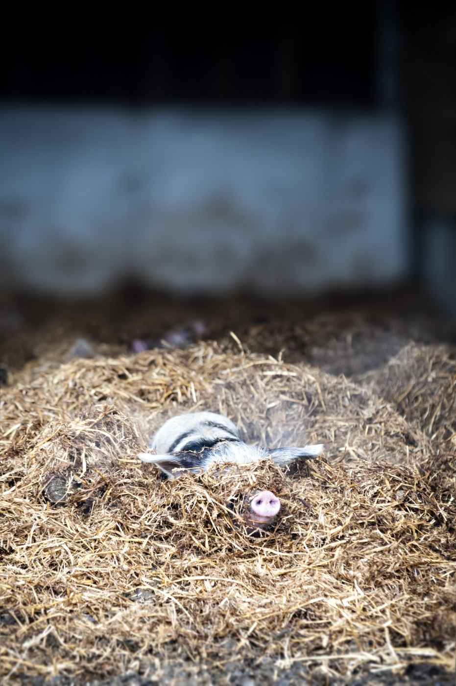 Die Sache mit dem Glück