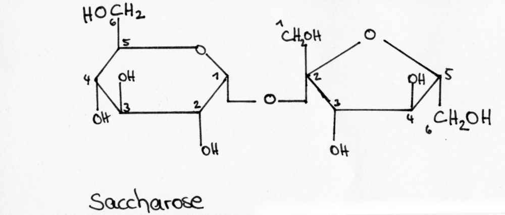 Saccharose